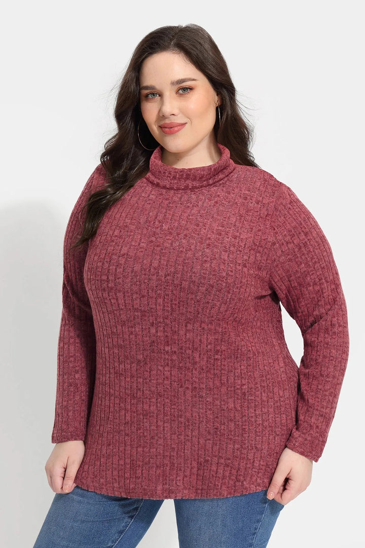 Supersoft Solid Long Sleeve Turtleneck Knit Sweater